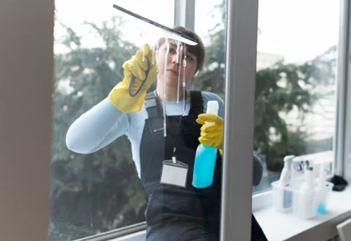 Nettoyage de vitres intérieures et extérieures à Saint-Amand-sur-Sèvre